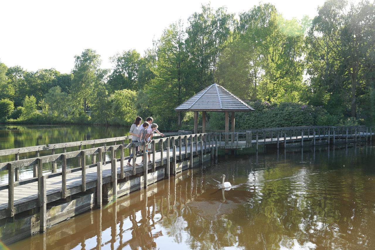 Center Parcs Limburgse Peel Limburg-Brabant 호텔 아메리카 외부 사진